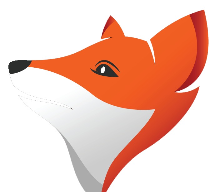 Fox Systems - Chennai